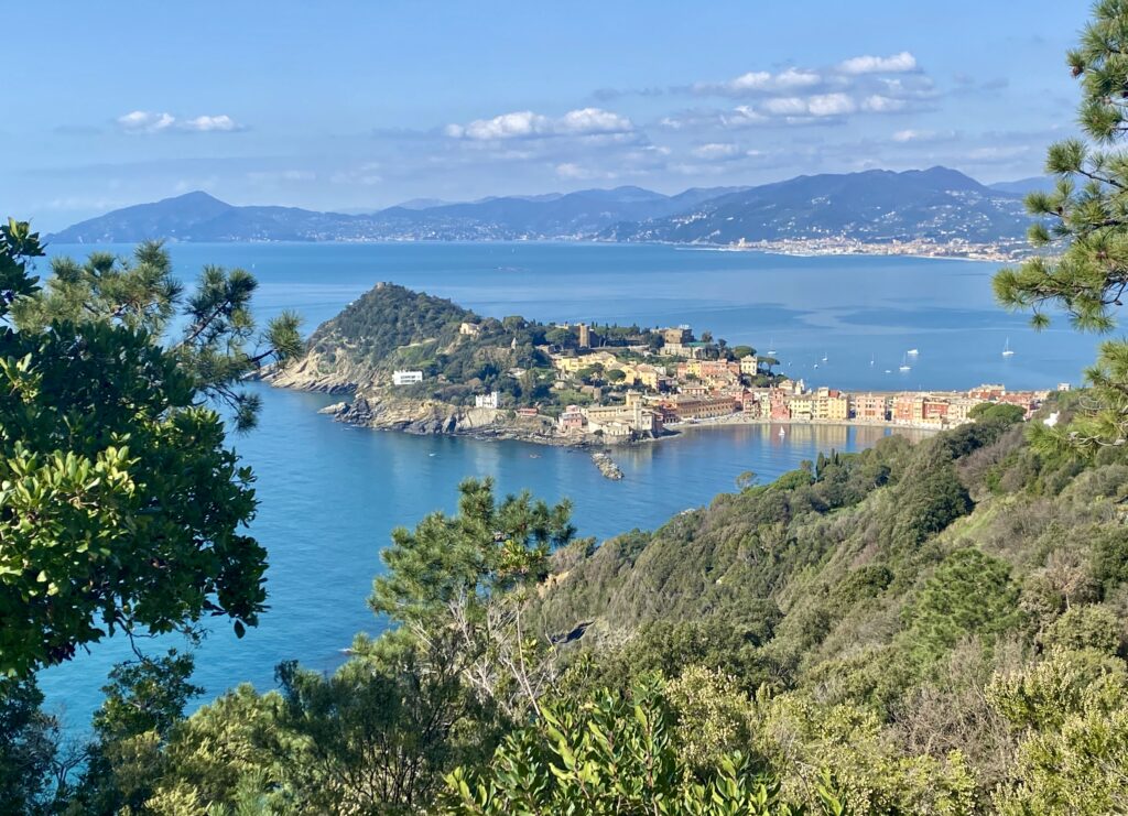 Attività